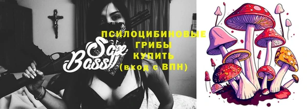 spice Бугульма