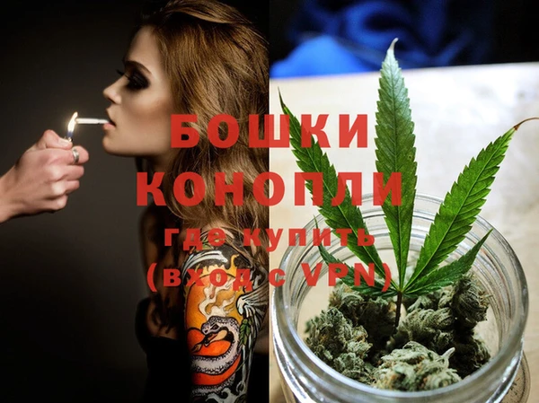 шишки Верхний Тагил