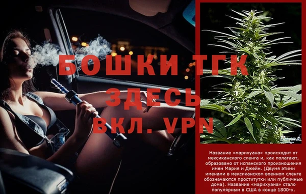 амф Бородино