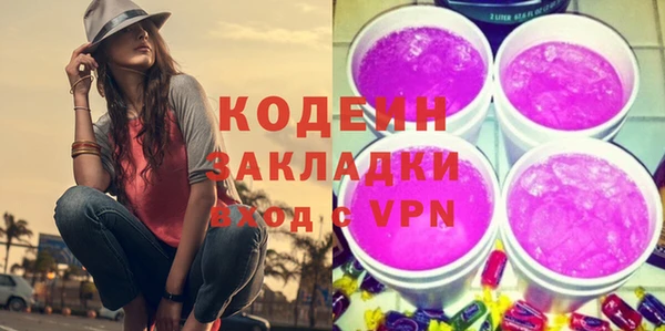амф Бородино