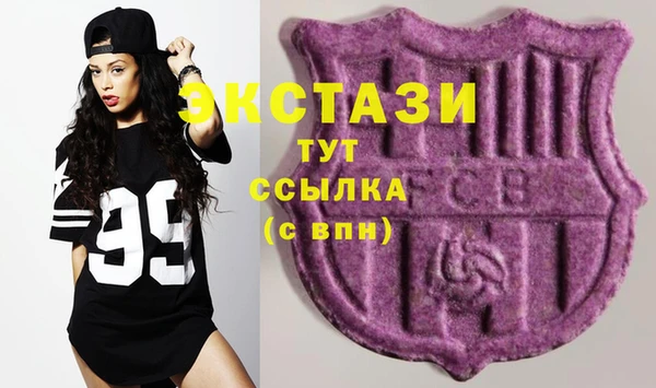 шишки Верхний Тагил