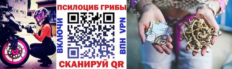 Псилоцибиновые грибы Psilocybine cubensis  площадка состав  Горнозаводск  hydra ссылки 